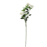 Mini Daisy - White