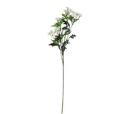 Mini Daisy - White