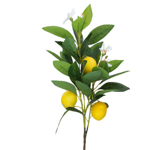 Mini Lemon Spray