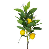 Mini Lemon Spray