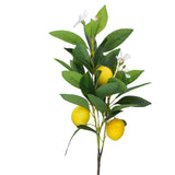 Mini Lemon Spray