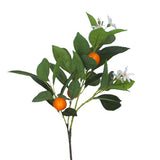 Mini Tangerine Spray