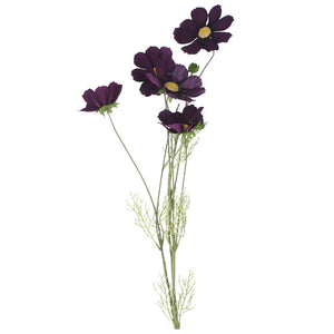 Purple Cosmo